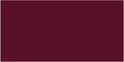 RAL 4004 49/31020