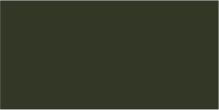 RAL 6003 49/52880