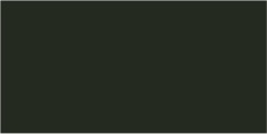 RAL 6009 49/52840