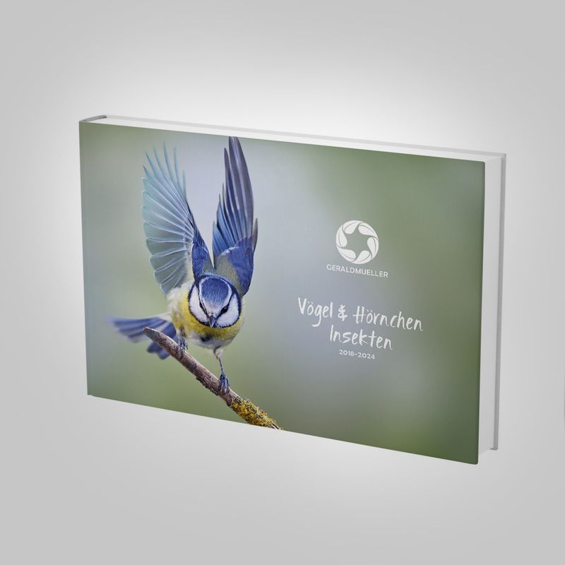 Vögel & Insekten und Eichhörnchen Vögel & Insekten und Eichhörnchen