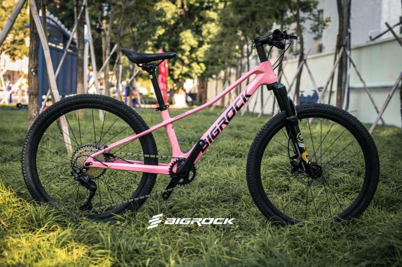 BIGROCK 24  碳纖山地車