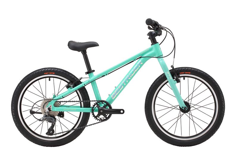 BESTRIDER 20 越野山地車(XC20)