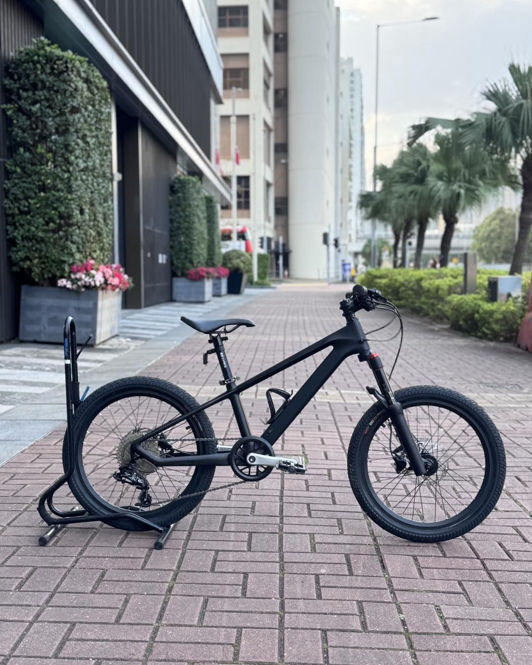 MONTES Terminator 20&quot; Carbon Mountain Bike