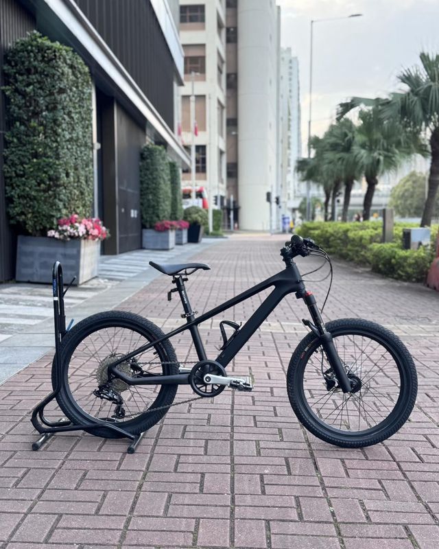 MONTES 黑武士 20&quot; 碳纖山地車