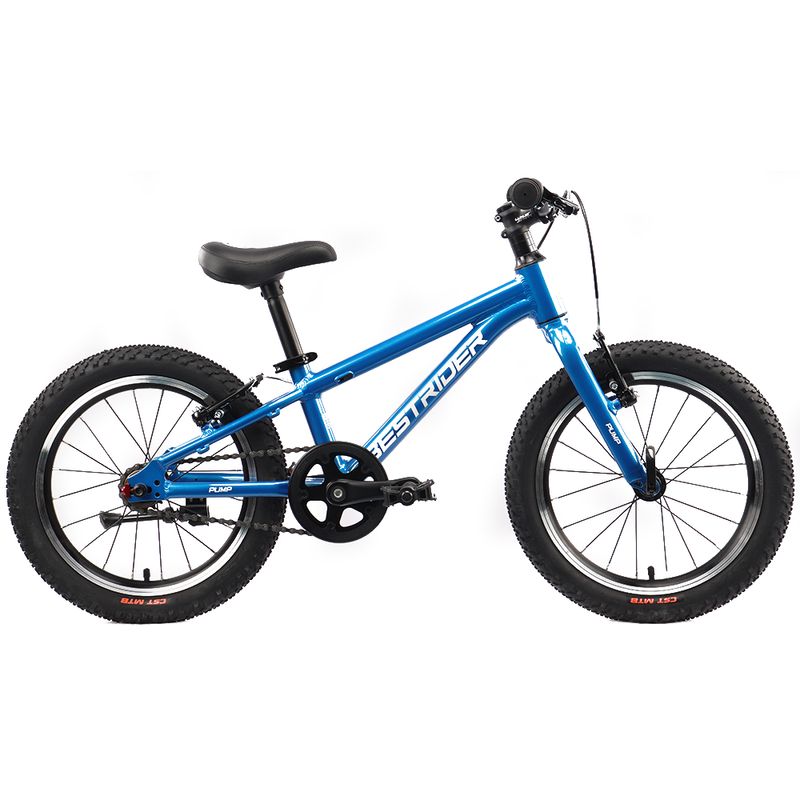 BESTRIDER 16 PUMP PRO (BR16) Single Speed