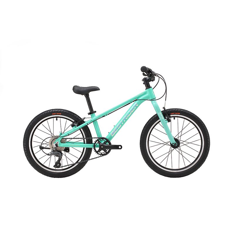 BESTRIDER 20 越野山地車 (XC20)