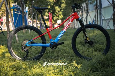 Children Mountain Bikes