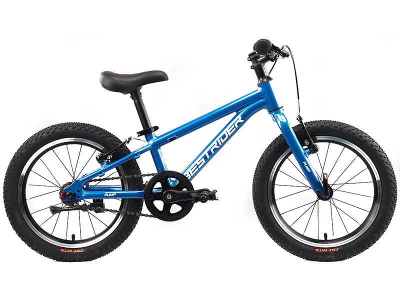 BESTRIDER 16 PUMP PRO (BR16) Single Speed