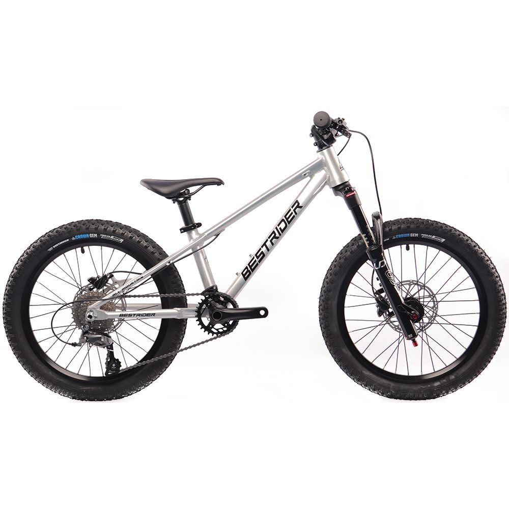 Bestrider 20 Hardtail All Mountain (HT-AM20)