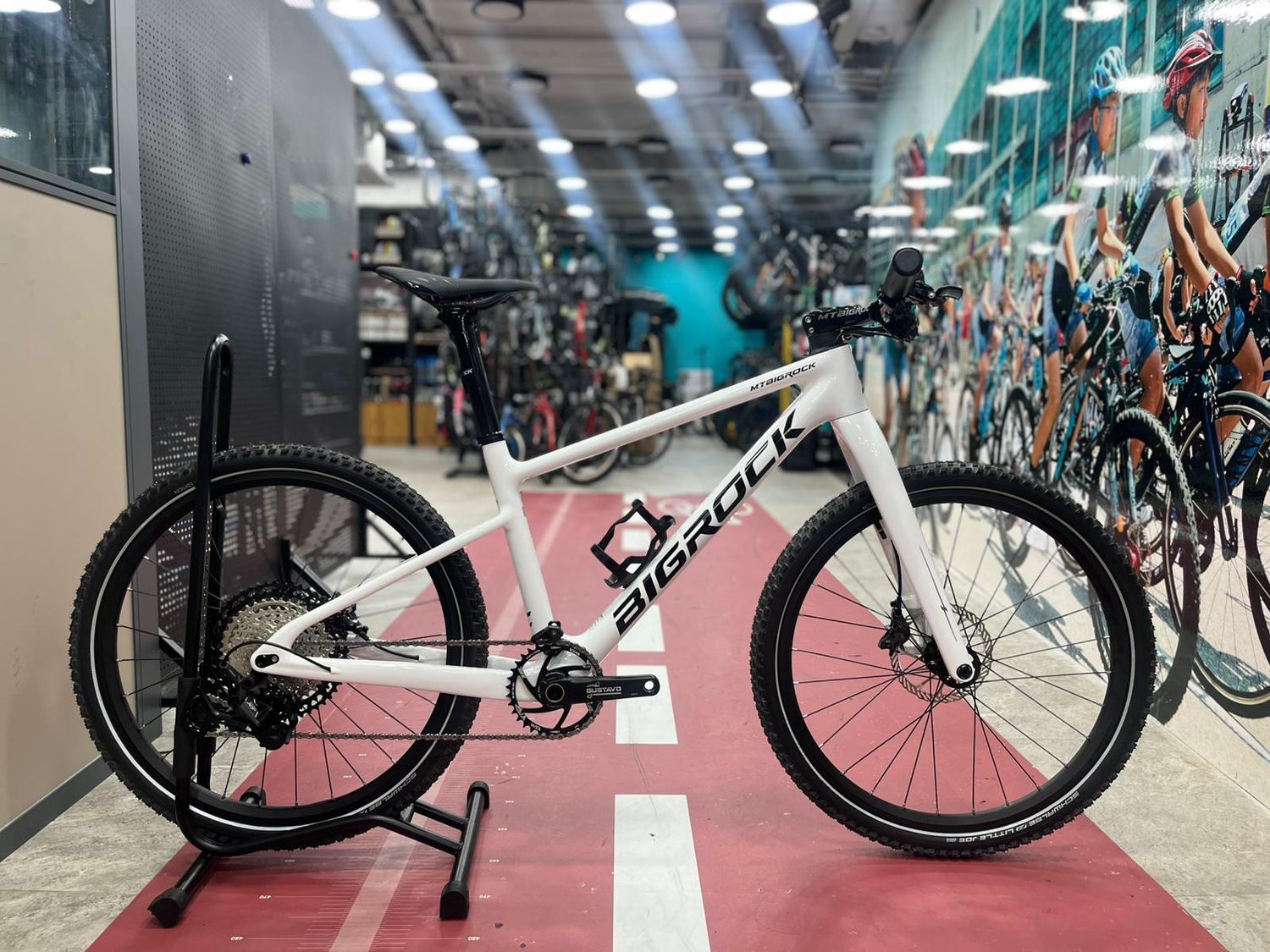 ​  BIGROCK 24" Carbon Mountain Bike Frame / Off-road / Hardtail Complete Bike for Hong Kong Children's Races