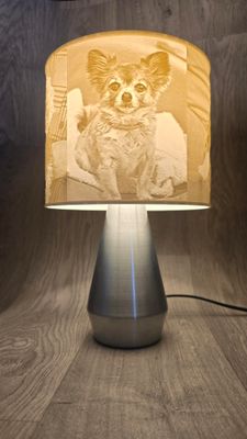 Photo Lamp with ( Touch lamp base)