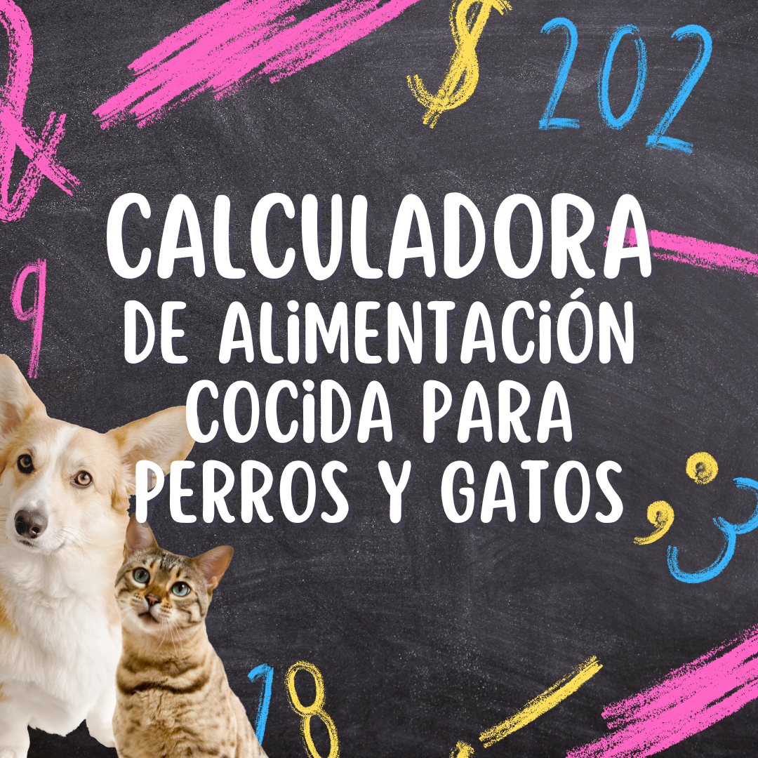 Calculadora de Alimentación Cocida para Perros y Gatos Compra, Precio, Valor, Descuento, Garantía, Oficial