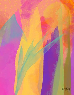 Soft Gradients Dreams