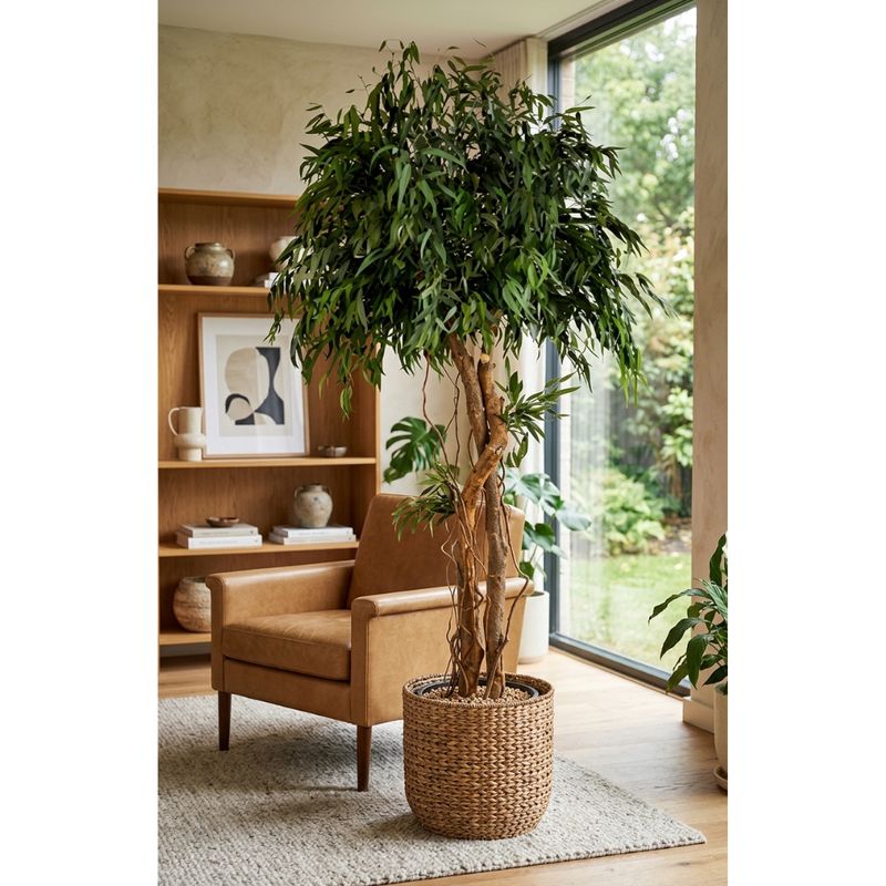 Interiors - Preserved Trees