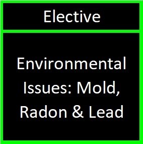 Environmental Issues: Mold, Radon & Lead