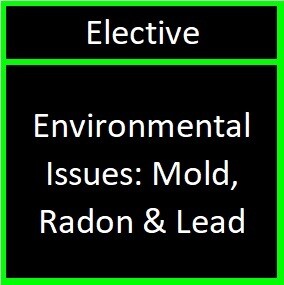 Environmental Issues: Mold, Radon &amp; Lead