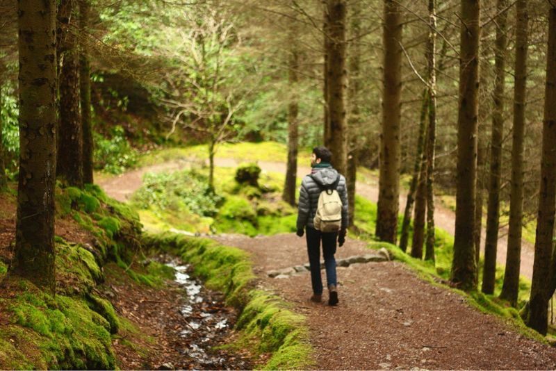 Trekking Survival (4-6h)