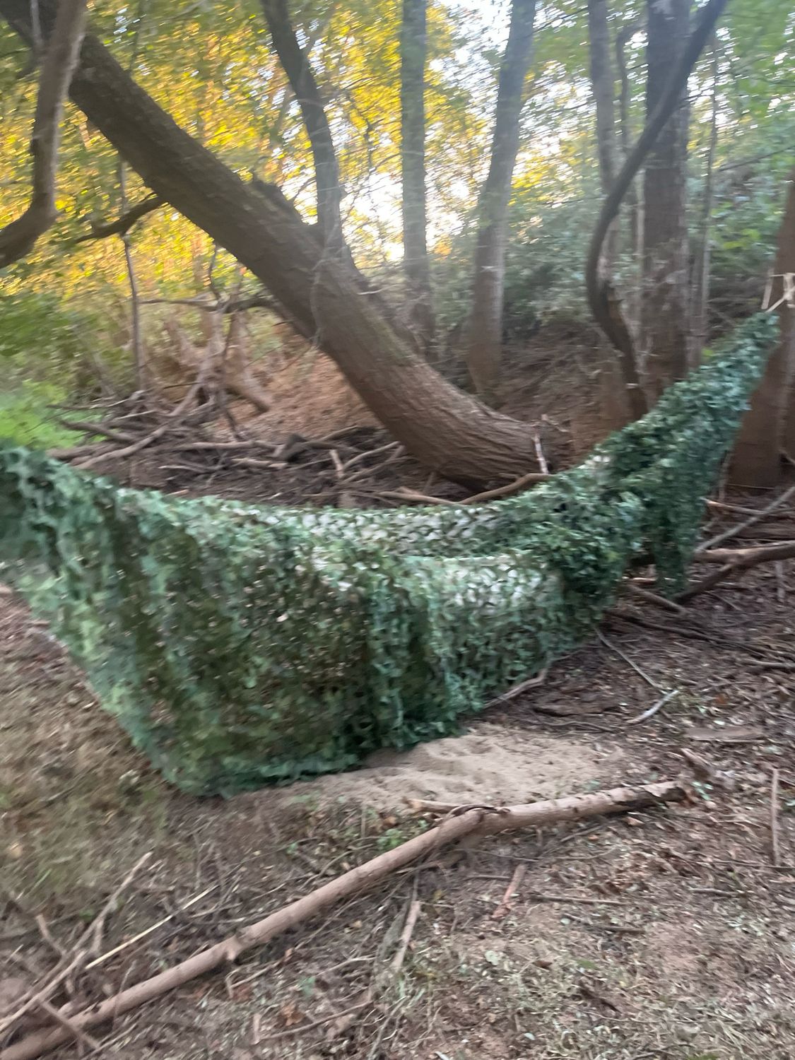 Pure BushCraft