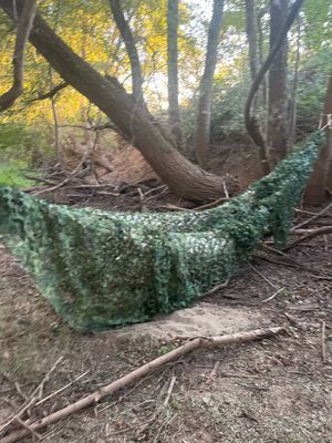 Pure BushCraft