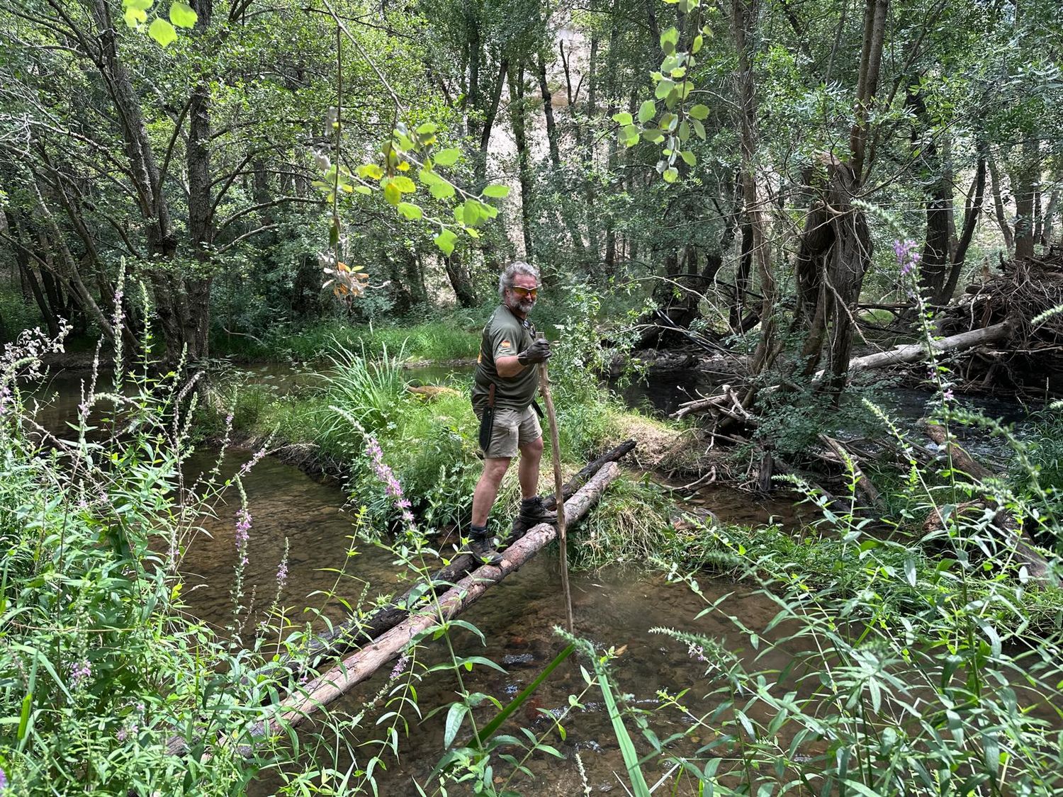 Fishing Survival (Inmersivo)