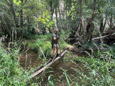 Fishing Survival (Inmersivo)