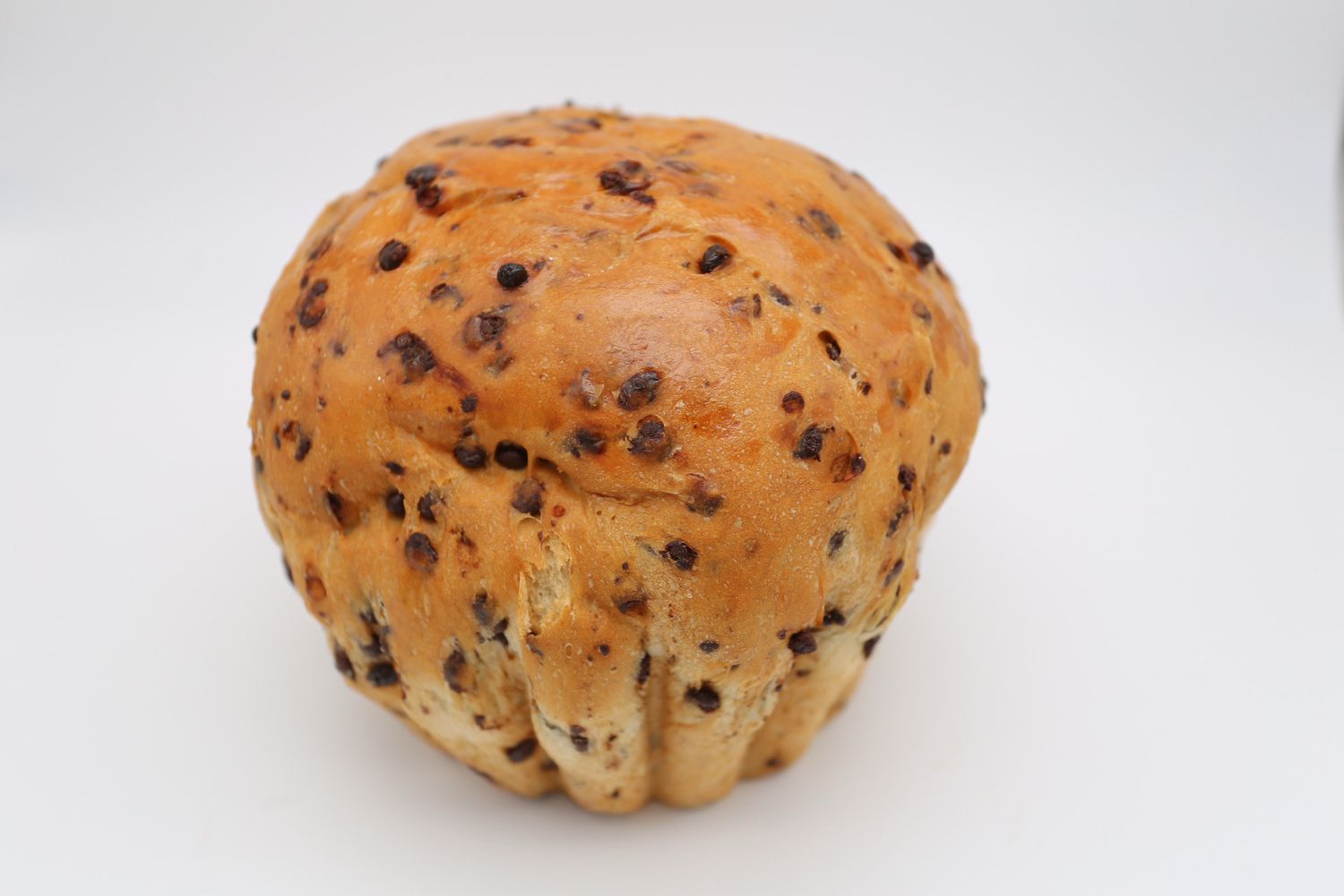 Chocobrood
