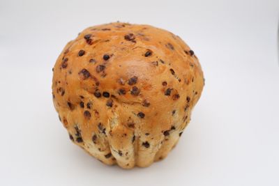Chocobrood