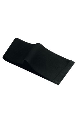Fascia Elastica Fascia Elastica