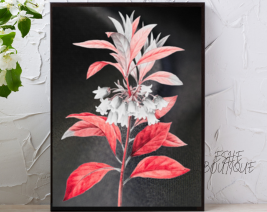 8X10 REDDISH FLOWER WALL ART WITH BLACK PICTURE FRAME