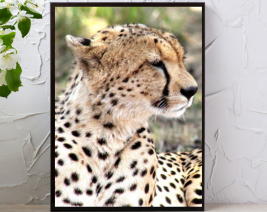 8X10 CHEETAH WALL ART WITH BLACK PICTURE FRAME