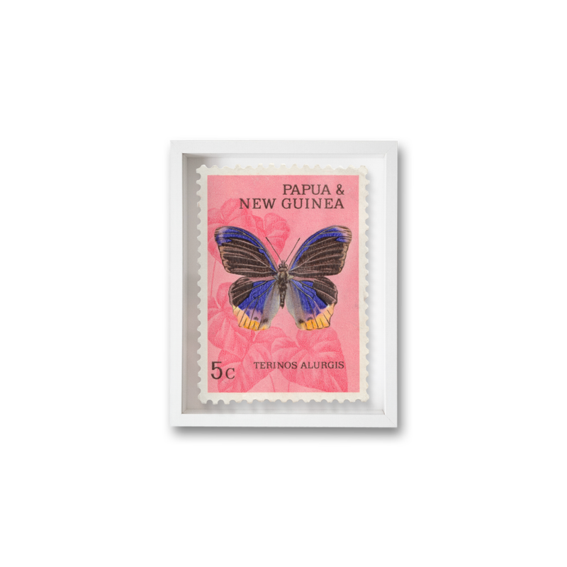 Butterfly No.4 - Salmon