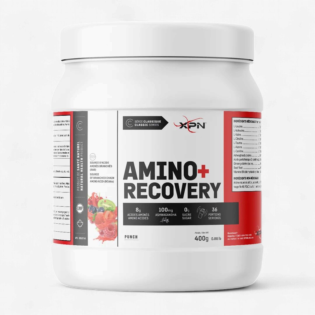 XPN - AMINO RECOVERY - 36 PORTIONS, Fragrance: PUNCH AUX FRUITS