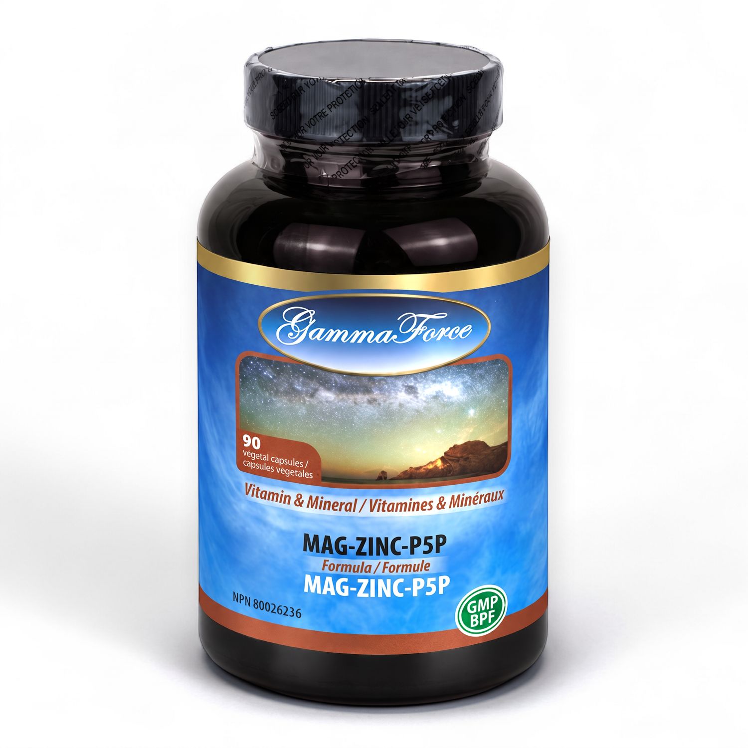 GAMMA FORCE - MAG ZINC P5P - 90 CAPSULES