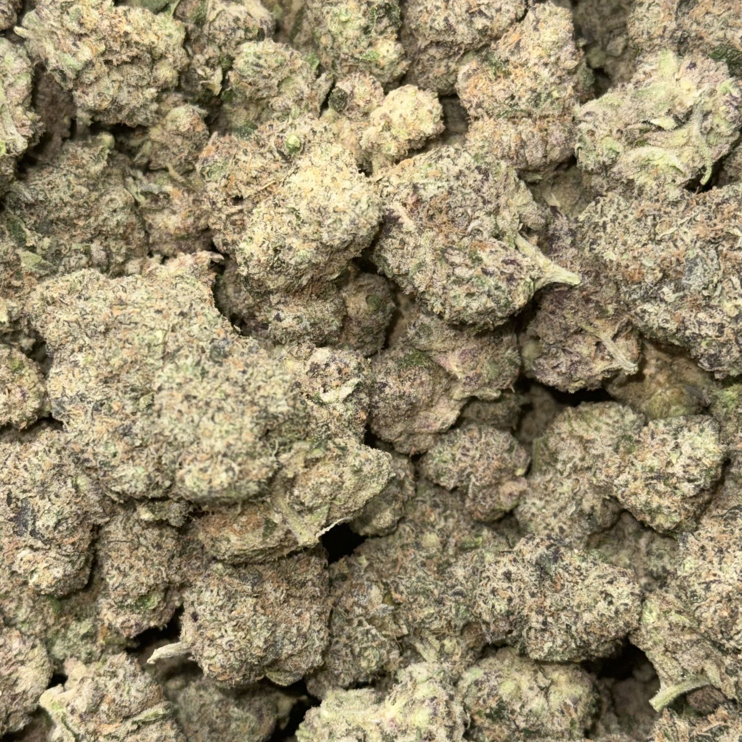 Indoor THCA Flower - Online, Size: 1g, Strain: Cherry Cosmo - Sativa Hybrid