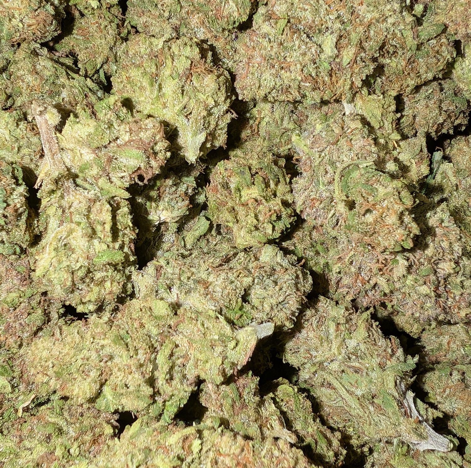 Light Dep THCA Flower - Online