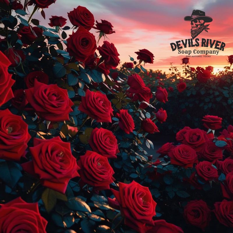 Rose Petals