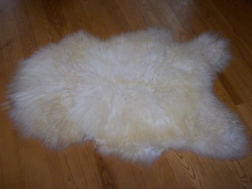 Creamy Lamb Pelt (Pelt H)