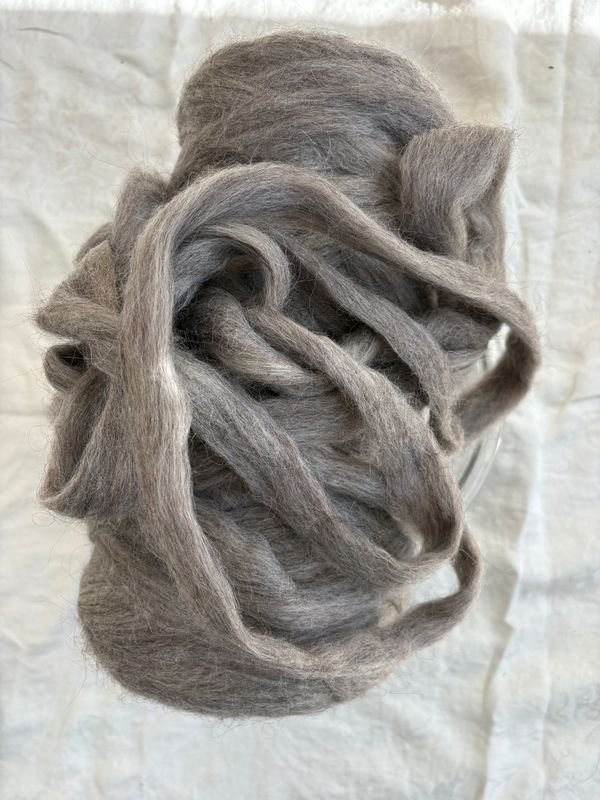 Pure Icelandic Roving