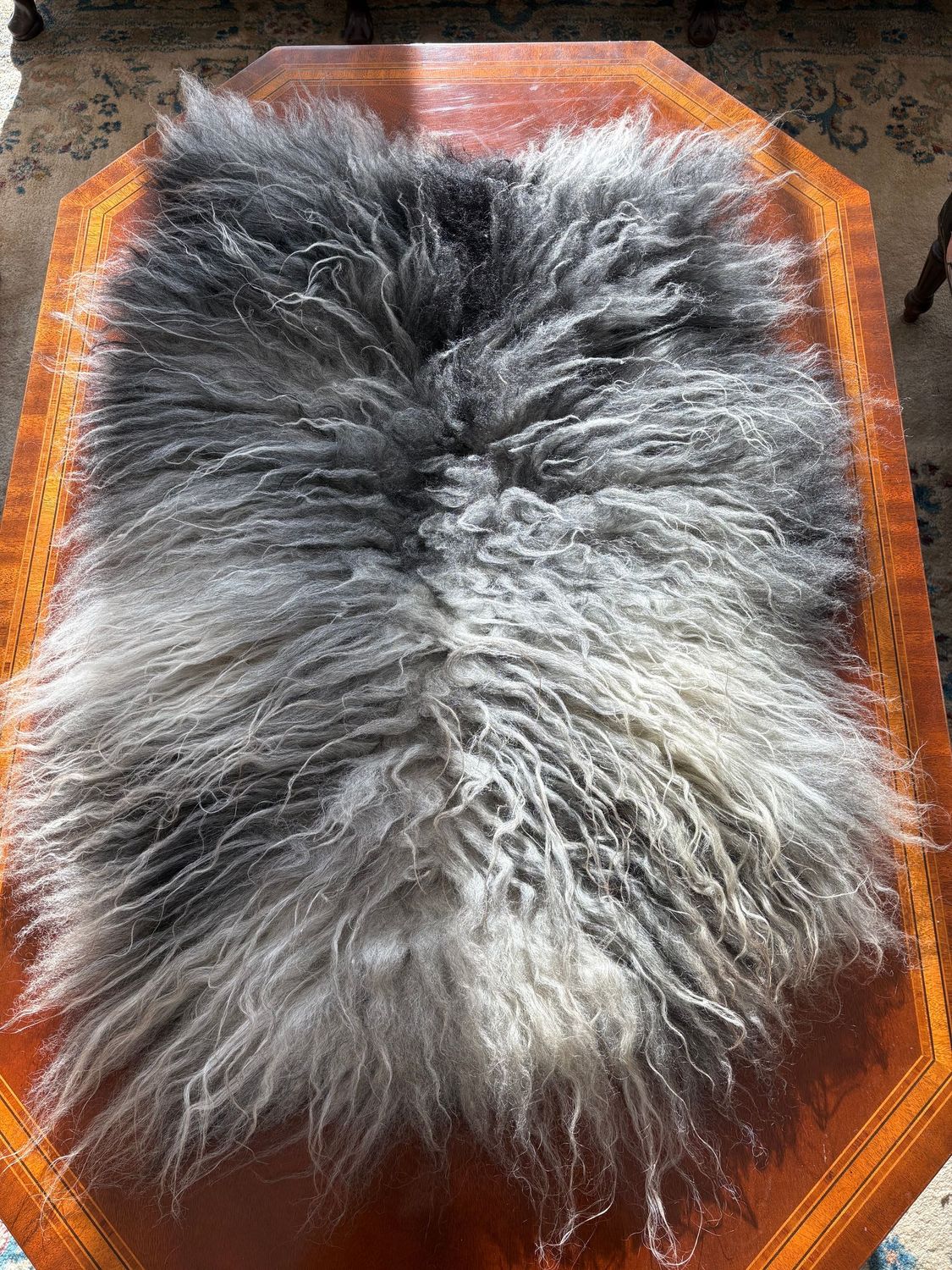 Light grey pelt Light grey pelt
