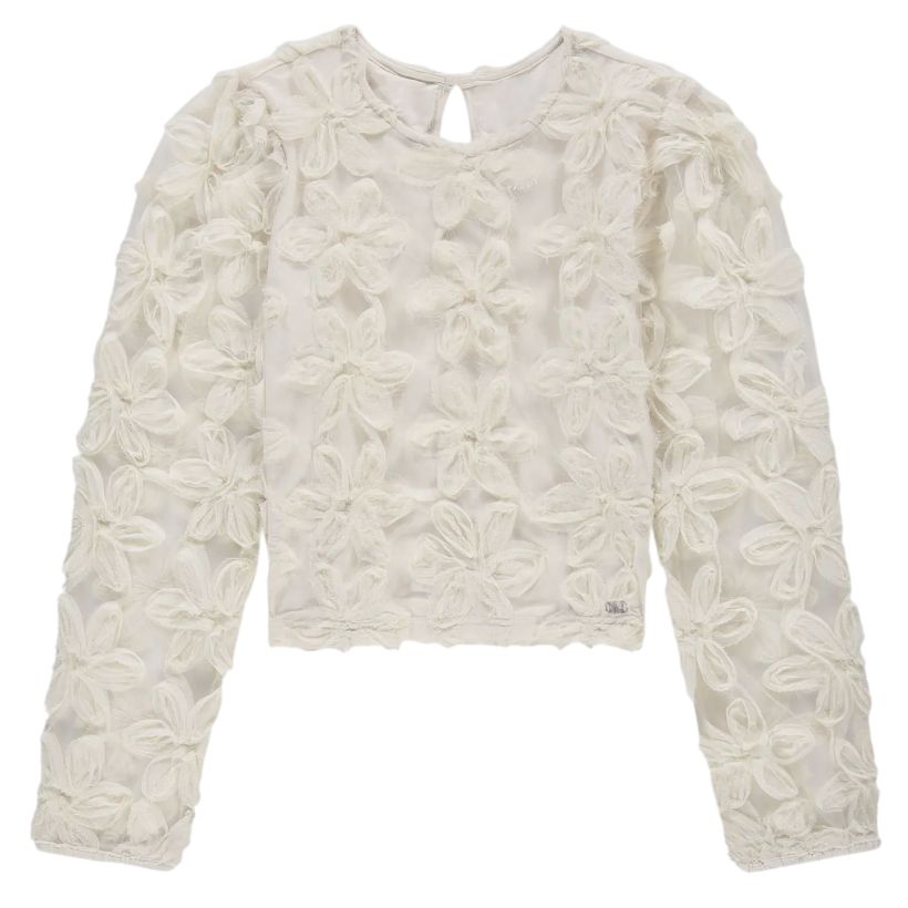 Nik &amp; Nik Top with embroidered flowers and mesh balloon sleeves