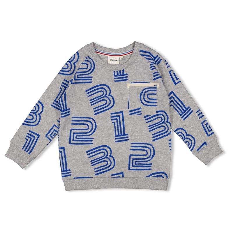 Sturdy Sweater AOP - Run the Day