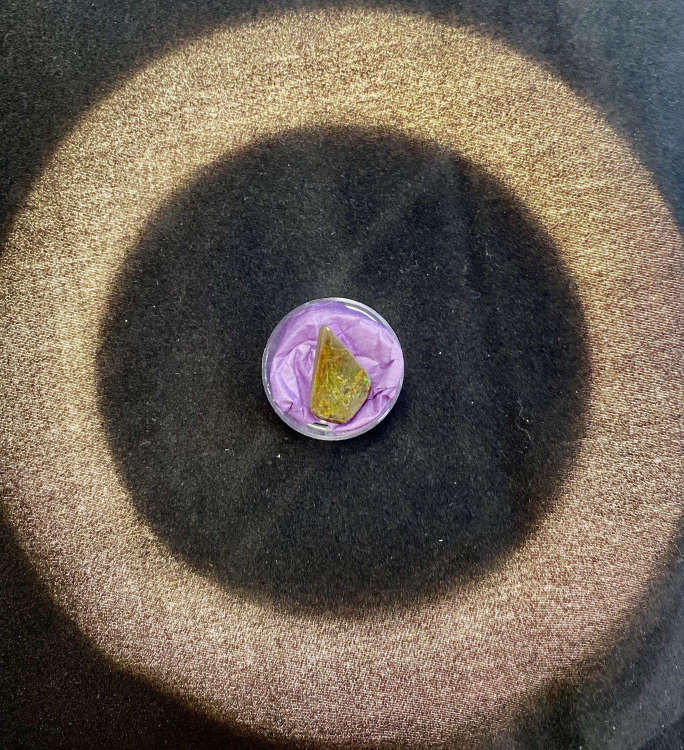 Ammolite