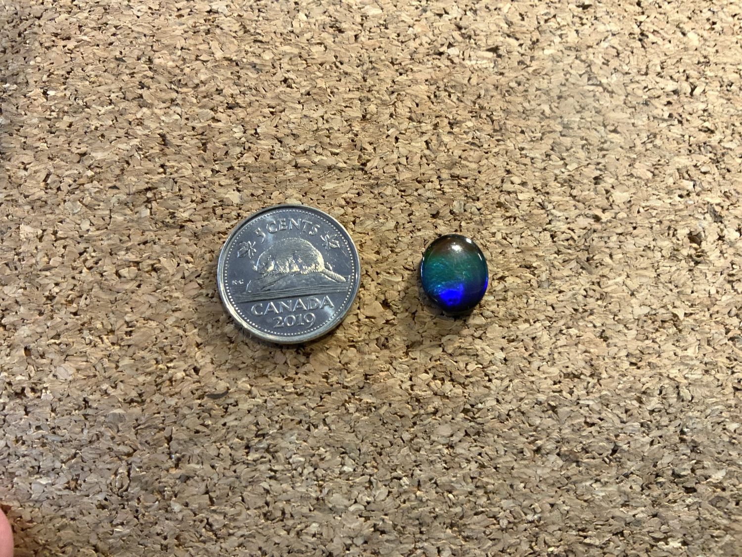 Ammolite