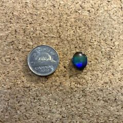 Ammolite