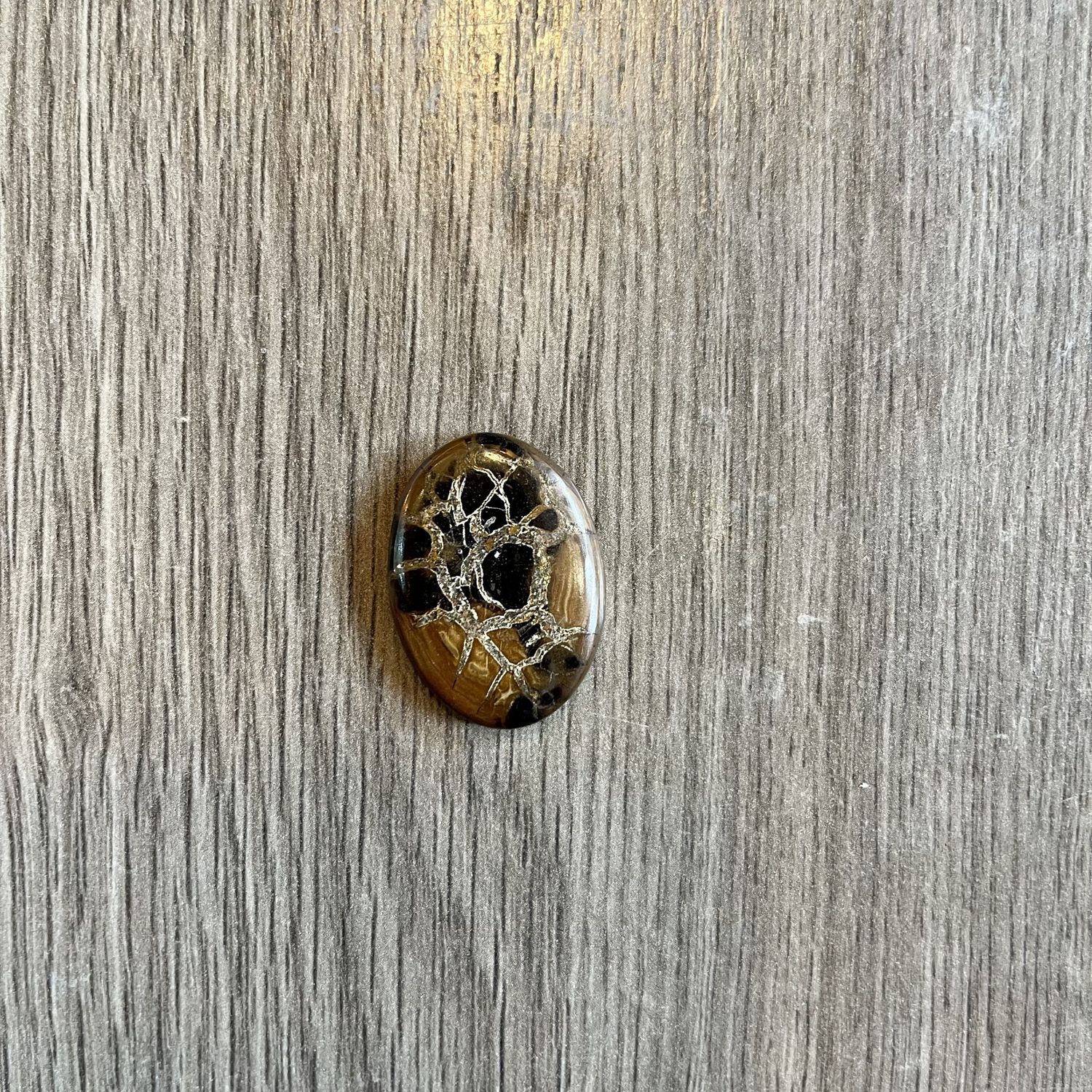 Fossil Cabs