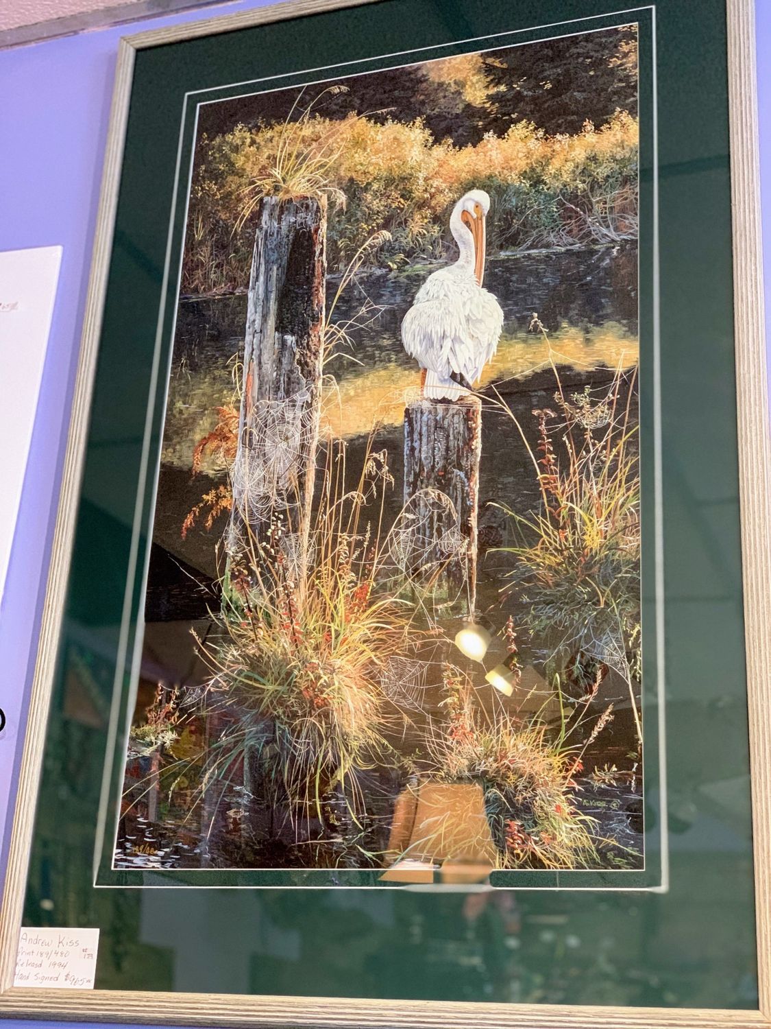 Andrew Kiss Picture of Heron in Williams Lake BC