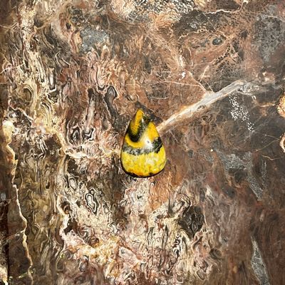 Bumblebee Jasper