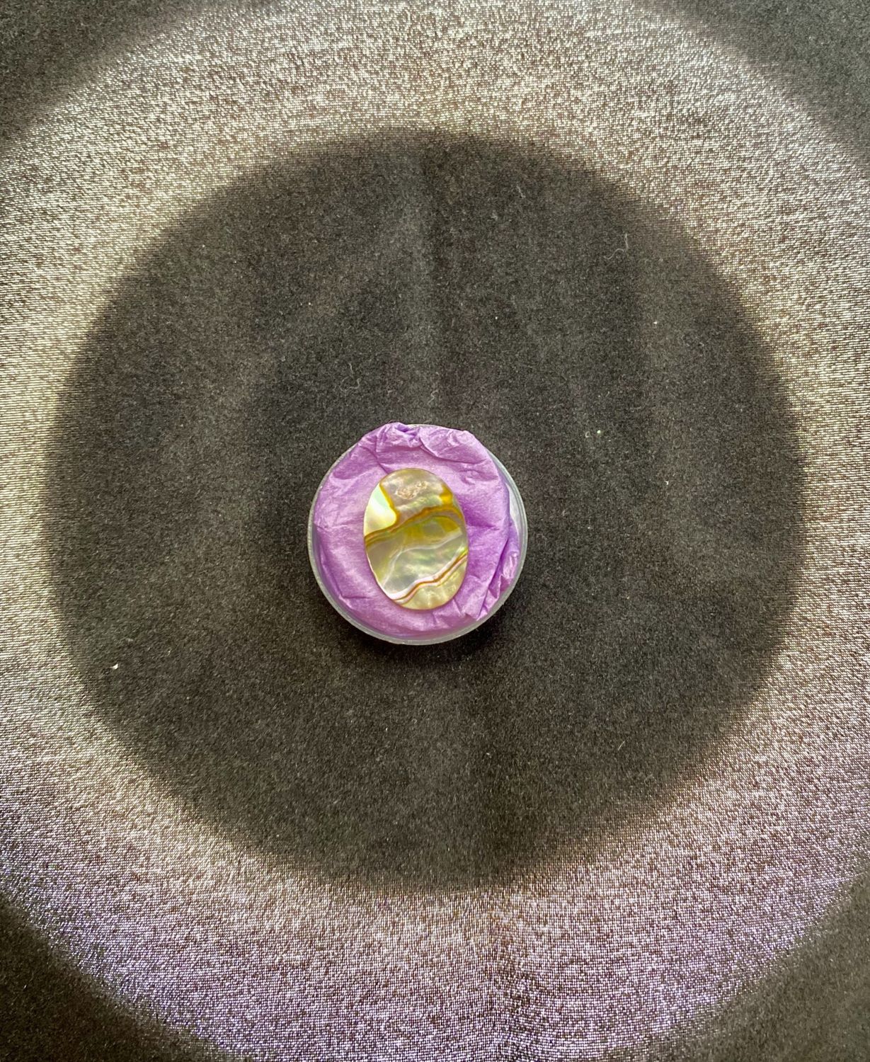 Abalone