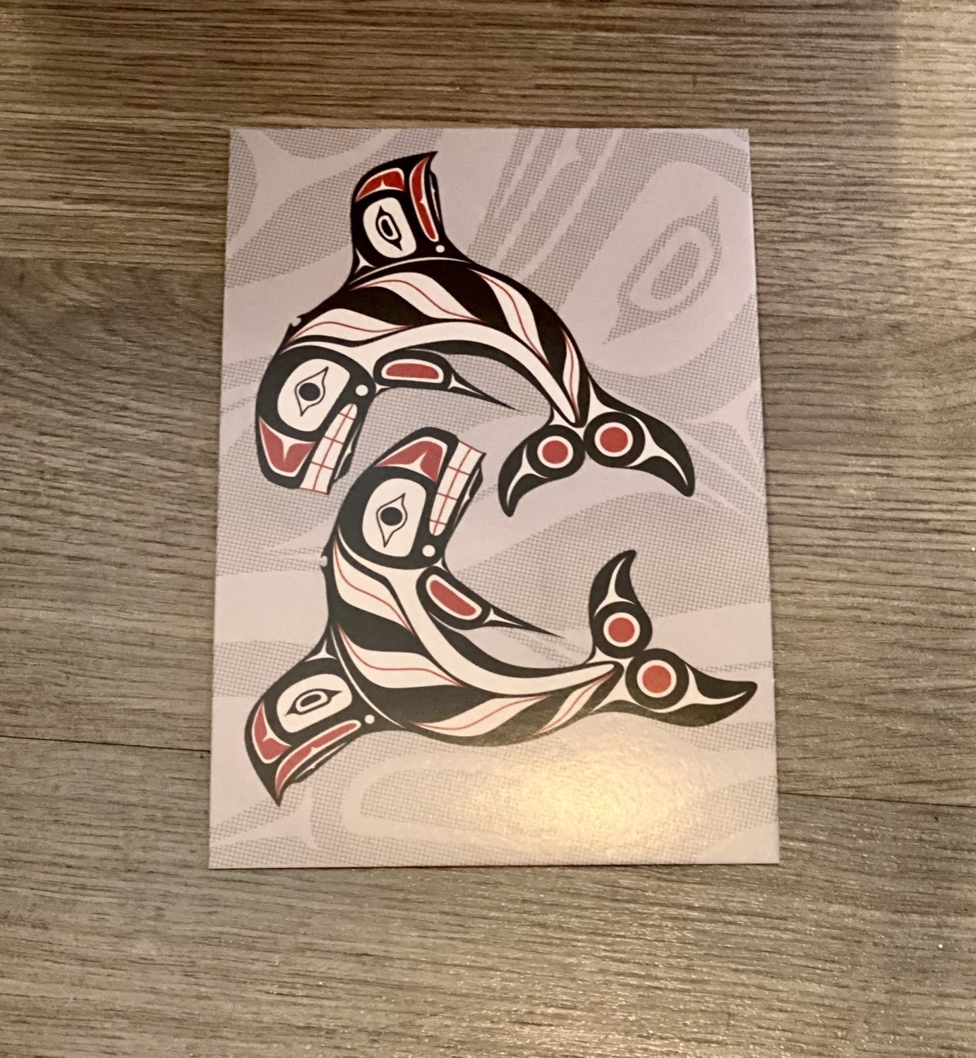 Post Card - Raven Fin Killer Whale