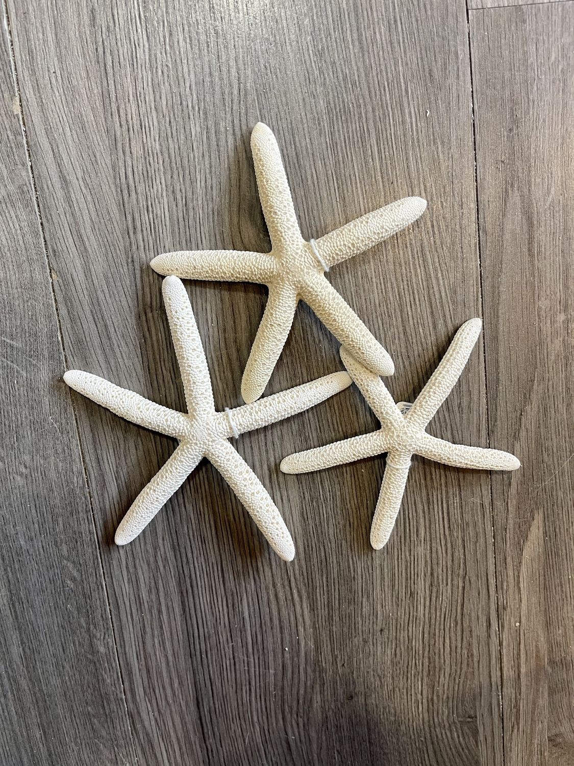 Starfish